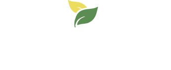 Frutasdelhierro.com