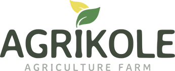 Frutasdelhierro.com